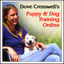 Dove Cresswells Dog Training Online Dove Cresswells Dog Training Online