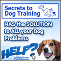Secrets To Dog Training Secrets To Dog Training
