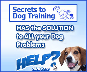 Secrets to Dog Training Secrets to Dog Training
