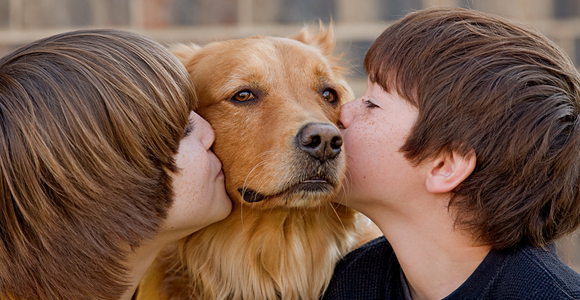 Dog Training Benefits Both You and Your Dog!