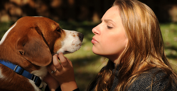 Training Your Dog With Strengthen The Bond You Share!