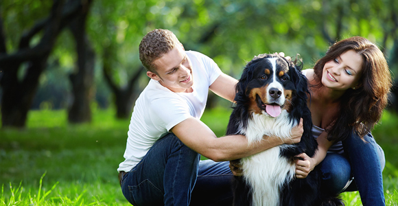 A Well Trained Dog Is A Happier Dog!